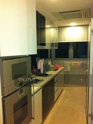 Angullia Park Residences @ Orchard (D10), Apartment #138069422